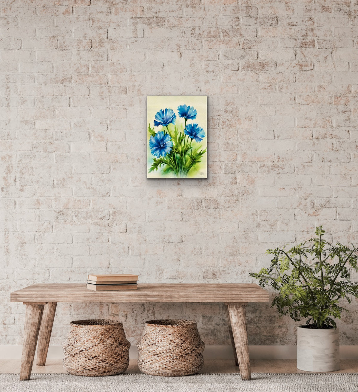 Chicory – Medium 12 x 16 unframed Canvas Art Print
