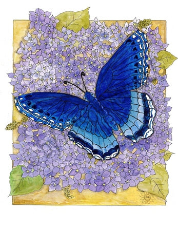 Butterfly On Lilac