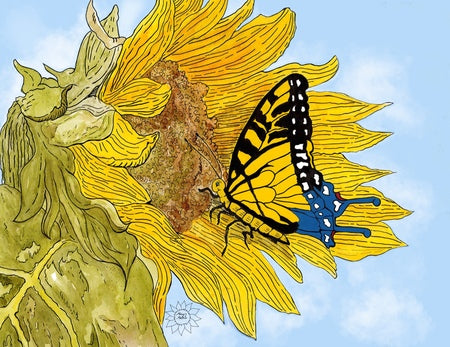 Adel the Butterfly