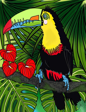 Charlie Toucan
