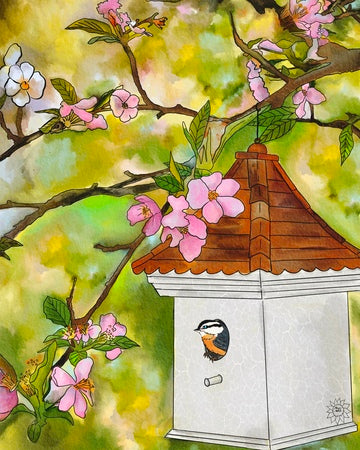 Cherry Blossoms and Birdhouse