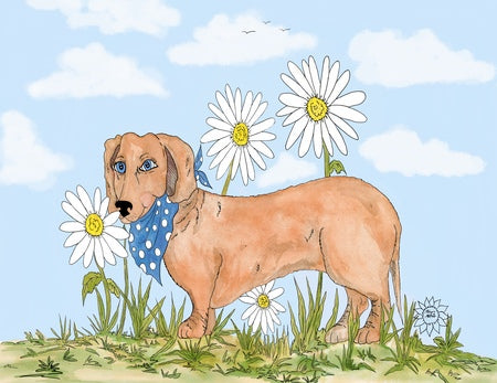 Daisy Among Daisies