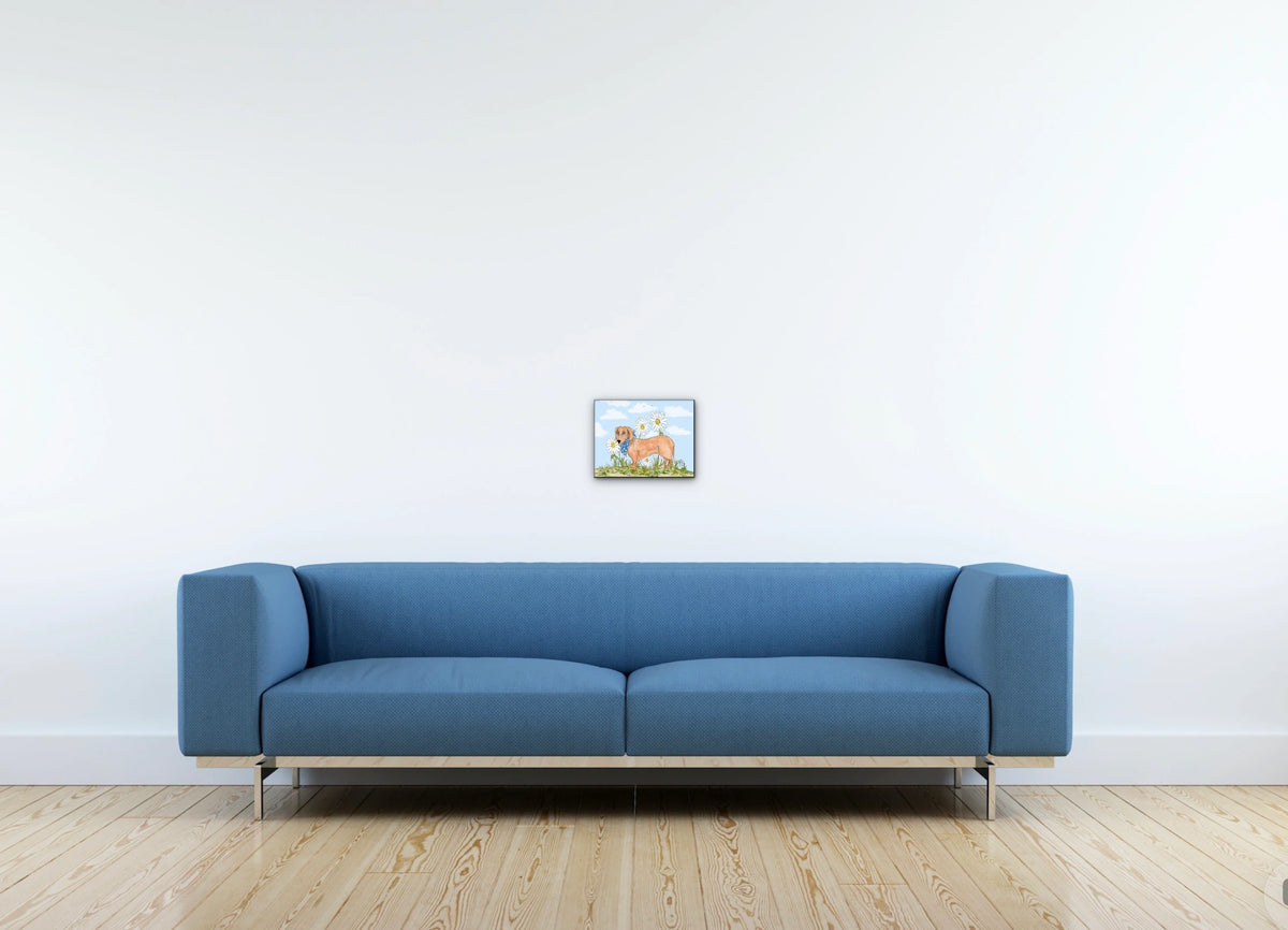 Daisy Among Daisies - small 8 x 10 unframed art print shown hanging on a wall