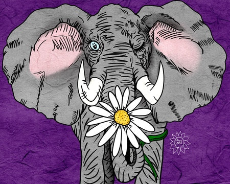 Eli Elephant