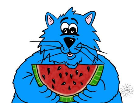 Fat Cat - Watermelon