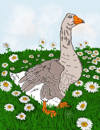 Gabi Goose