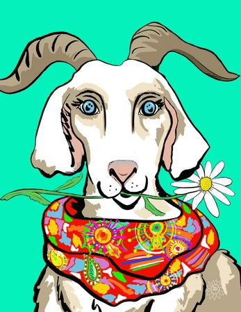 Gretchen The Goat
