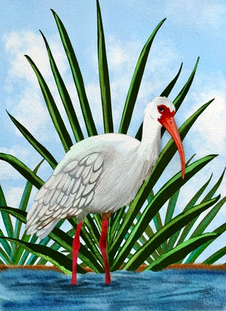 Irie the Whimsical Ibis Bird