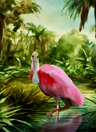 Roseate Spoonbill