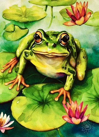 Frog Sitting on a Lily Pad
