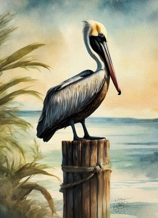 Beacon the Brown Pelican