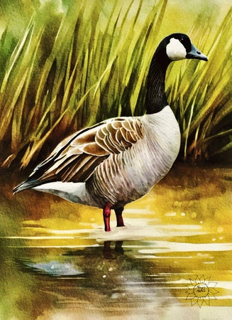 A Voyage of Whimsy Canadian Goose