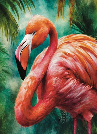 Coral the Flamingo