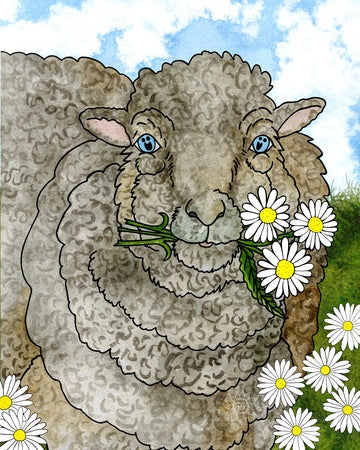 Mocha the Sheep