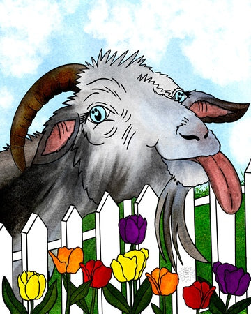 Thistle the Goat