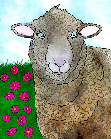 Heather the Polypay Sheep