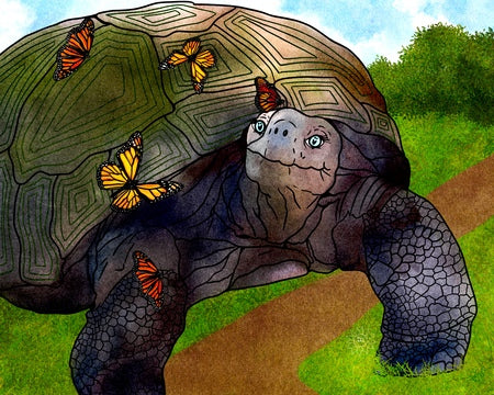 Boxie the Tortoise and Friends