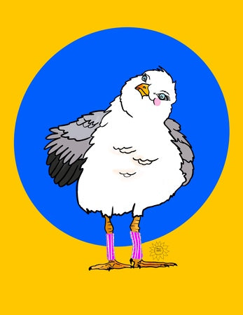 Scarlet Seagull