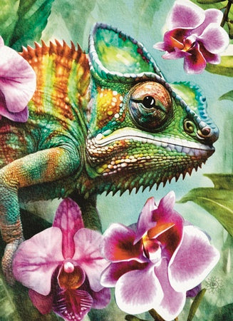 Cam the Chameleon