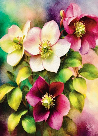 Lent Rose