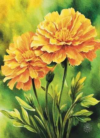 Marigolds