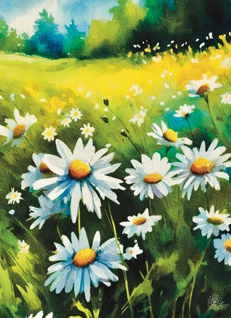 Field of Daisies