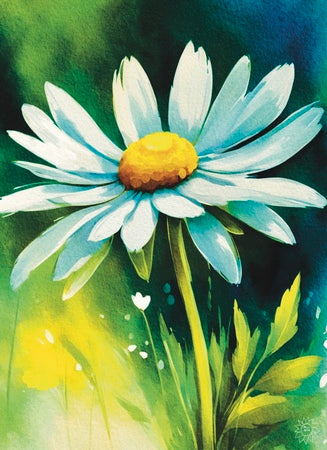 Daisy