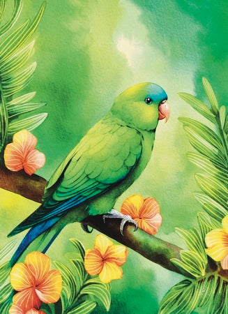 Mexican Parrotlet