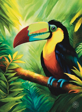 Keel Billed Toucan