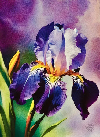 Purple Iris – Canvas Art Prints