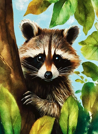 Raccoon Tree Sitter