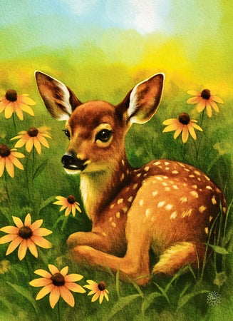 Daisy the Fawn