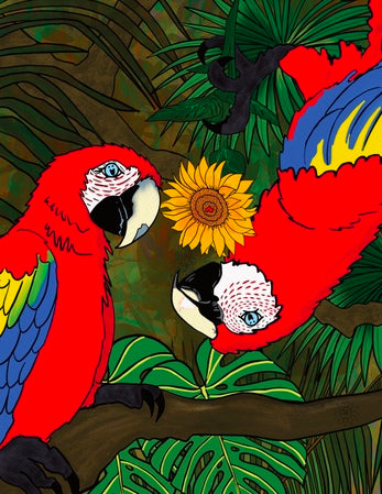 Macaws Bugging You