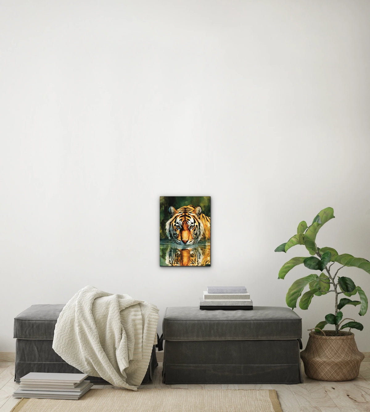 Majestic Tiger - medium 12 x 16 unframed art print shown hanging on a wall