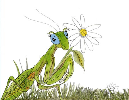 Manny The Praying Mantis
