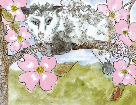 Molly and Porter Possum