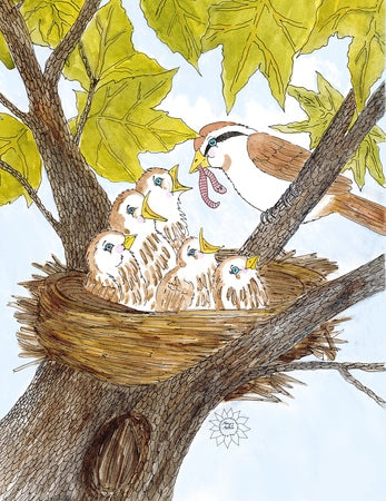 Mom and Baby Birds