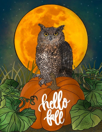 Otto the Owl