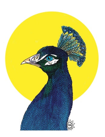 Peter Peacock
