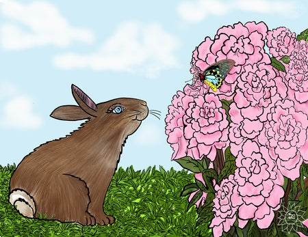 Peyton Rabbit