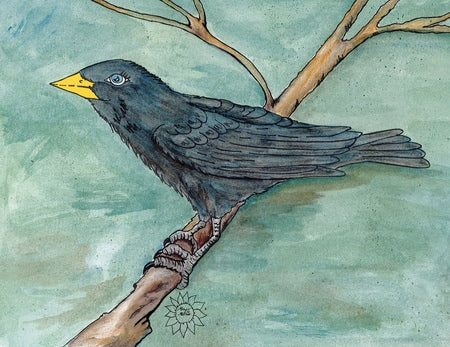 Poe The Crow