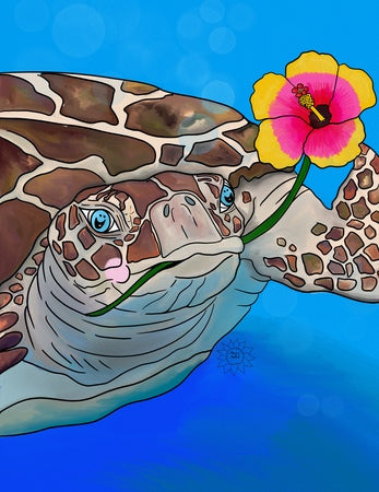 Sawyer the Turtle