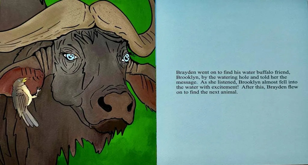 The Message! - Children's Book