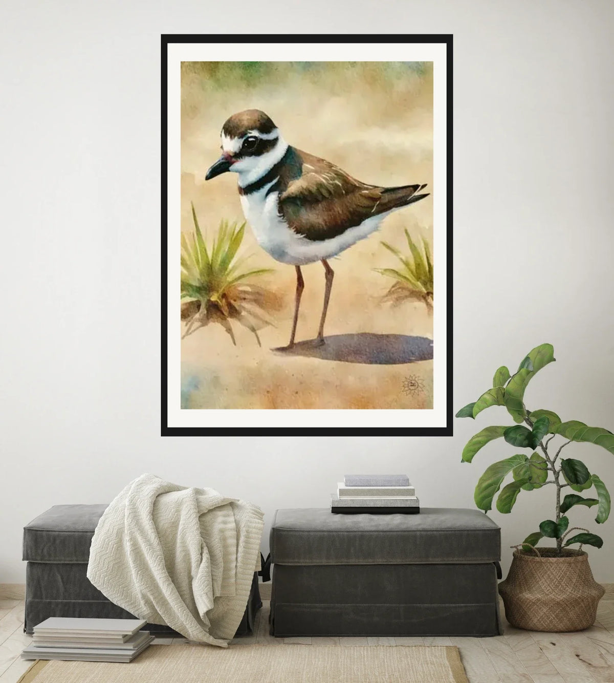Whimsical Wandering Male Plover - extra large 36 x 48 matted and framed art print shown hanging on a wall