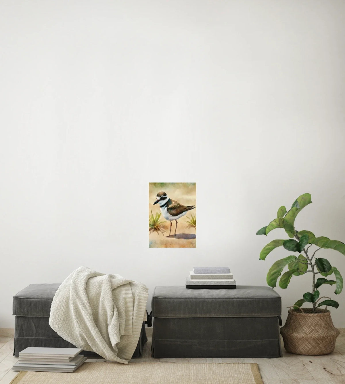 Whimsical Wandering Male Plover - medium 12 x 16 unframed art print shown hanging on a wall