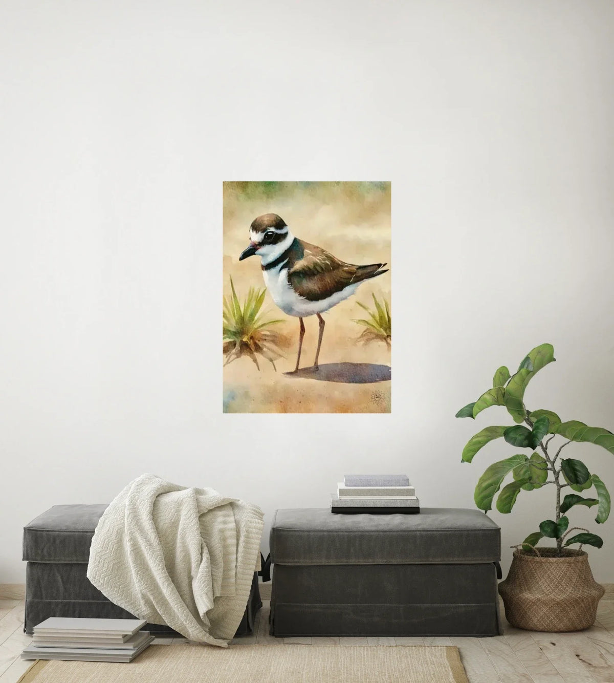 Whimsical Wandering Male Plover - large 24 x 36 unframed art print shown hanging on a wall