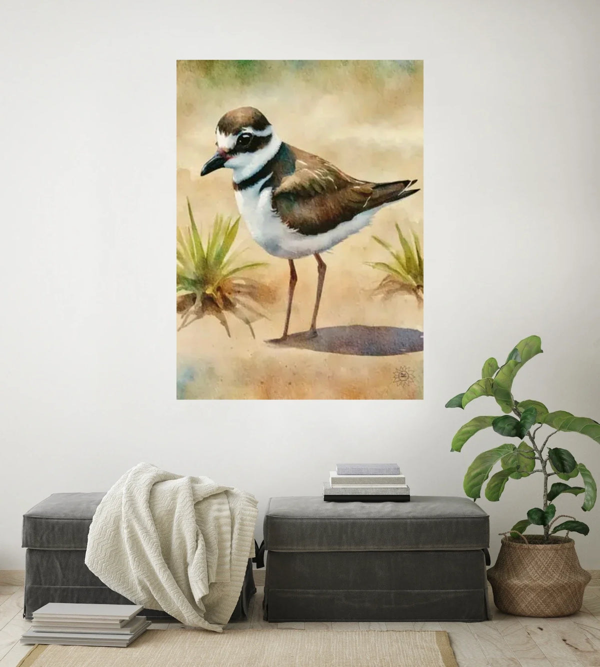 Whimsical Wandering Male Plover - extra large 36 x 48 unframed art print shown hanging on a wall